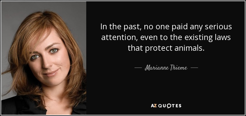 In the past, no one paid any serious attention, even to the existing laws that protect animals. - Marianne Thieme