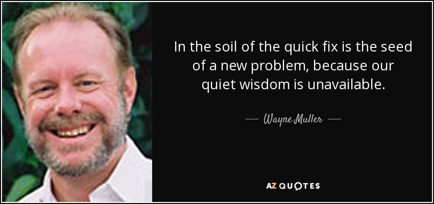 In the soil of the quick fix is the seed of a new problem, because our quiet wisdom is unavailable. - Wayne Muller