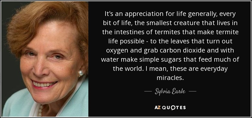 It's an appreciation for life generally, every bit of life, the smallest creature that lives in the intestines of termites that make termite life possible - to the leaves that turn out oxygen and grab carbon dioxide and with water make simple sugars that feed much of the world. I mean, these are everyday miracles. - Sylvia Earle