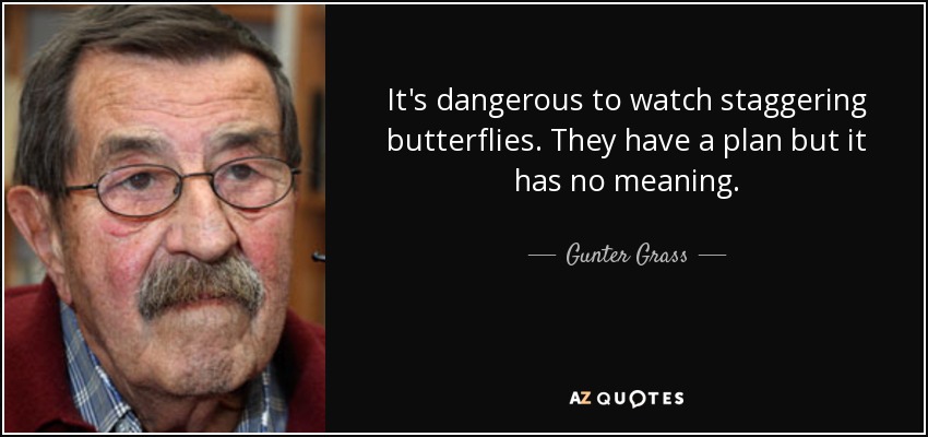 Es peligroso observar a las mariposas que se tambalean. Tienen un plan, pero no tiene sentido. - Hierba de Gunter