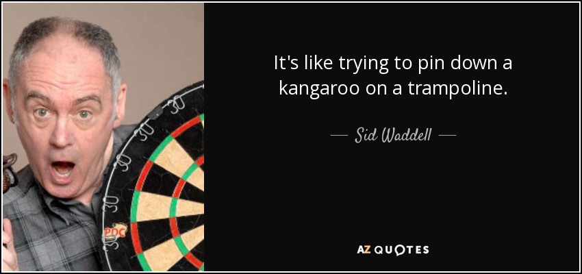 It's like trying to pin down a kangaroo on a trampoline. - Sid Waddell