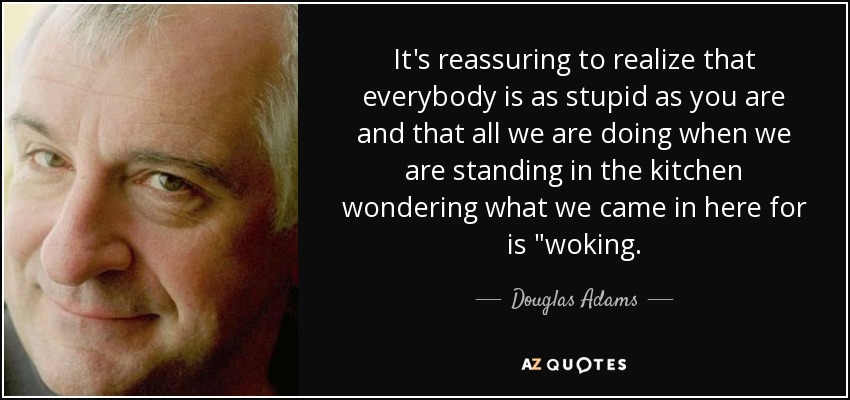 It's reassuring to realize that everybody is as stupid as you are and that all we are doing when we are standing in the kitchen wondering what we came in here for is 