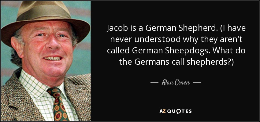 Jacob is a German Shepherd. (I have never understood why they aren't called German Sheepdogs. What do the Germans call shepherds?) - Alan Coren