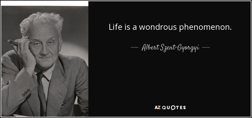 Life is a wondrous phenomenon. - Albert Szent-Gyorgyi