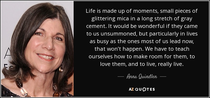 Life is made up of moments, small pieces of glittering mica in a long stretch of gray cement. It would be wonderful if they came to us unsummoned, but particularly in lives as busy as the ones most of us lead now, that won’t happen. We have to teach ourselves how to make room for them, to love them, and to live, really live. - Anna Quindlen