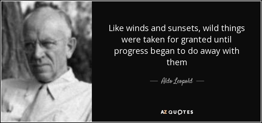 Like winds and sunsets, wild things were taken for granted until progress began to do away with them - Aldo Leopold