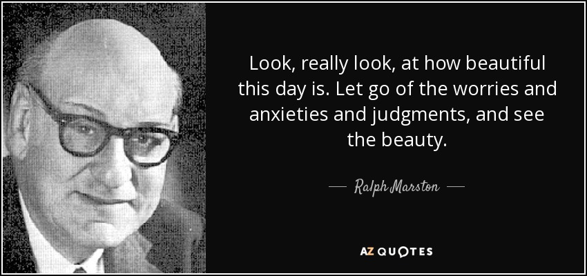 Look, really look, at how beautiful this day is. Let go of the worries and anxieties and judgments, and see the beauty. - Ralph Marston