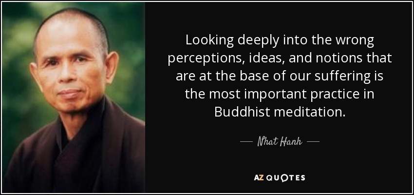 Looking deeply into the wrong perceptions, ideas, and notions that are at the base of our suffering is the most important practice in Buddhist meditation. - Nhat Hanh