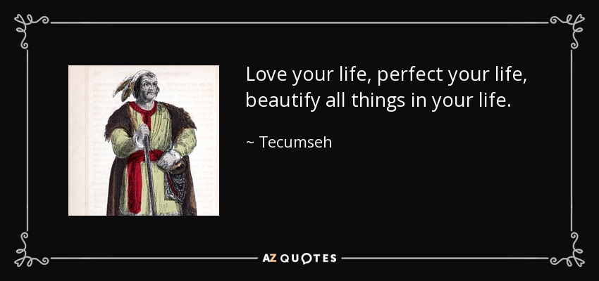 Love your life, perfect your life, beautify all things in your life. - Tecumseh