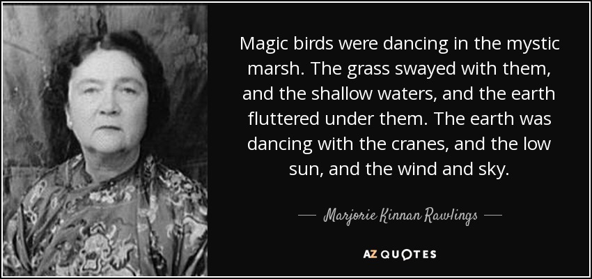 Magic birds were dancing in the mystic marsh. The grass swayed with them, and the shallow waters, and the earth fluttered under them. The earth was dancing with the cranes, and the low sun, and the wind and sky. - Marjorie Kinnan Rawlings