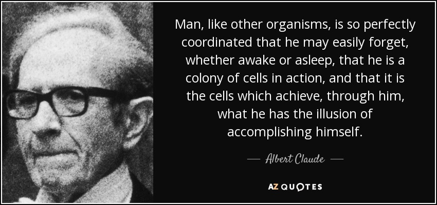 Man, like other organisms, is so perfectly coordinated that he may easily forget, whether awake or asleep, that he is a colony of cells in action, and that it is the cells which achieve, through him, what he has the illusion of accomplishing himself. - Albert Claude