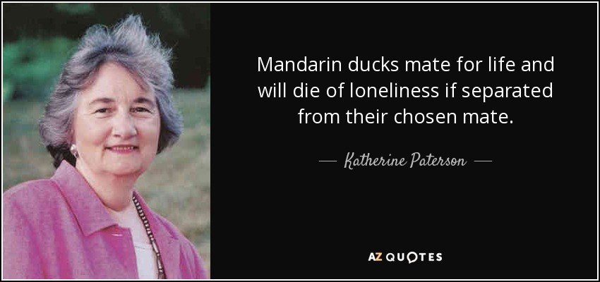 Mandarin ducks mate for life and will die of loneliness if separated from their chosen mate. - Katherine Paterson