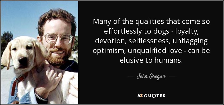 Muchas de las cualidades que los perros poseen sin esfuerzo -lealtad, devoción, desinterés, optimismo inquebrantable, amor incondicional- pueden resultar esquivas a los humanos. - John Grogan