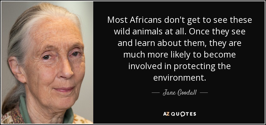 Most Africans don't get to see these wild animals at all. Once they see and learn about them, they are much more likely to become involved in protecting the environment. - Jane Goodall