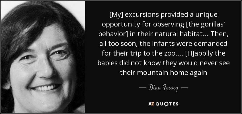 [My] excursions provided a unique opportunity for observing [the gorillas' behavior] in their natural habitat... Then, all too soon, the infants were demanded for their trip to the zoo. ... [H]appily the babies did not know they would never see their mountain home again - Dian Fossey