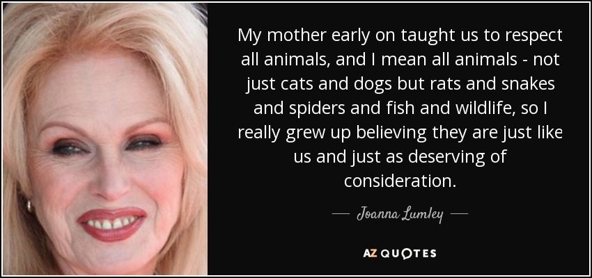 My mother early on taught us to respect all animals, and I mean all animals - not just cats and dogs but rats and snakes and spiders and fish and wildlife, so I really grew up believing they are just like us and just as deserving of consideration. - Joanna Lumley