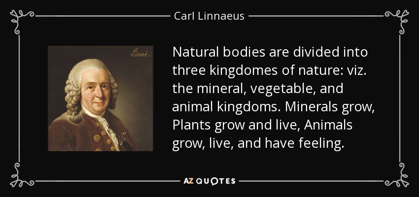 Natural bodies are divided into three kingdomes of nature: viz. the mineral, vegetable, and animal kingdoms. Minerals grow, Plants grow and live, Animals grow, live, and have feeling. - Carl Linnaeus