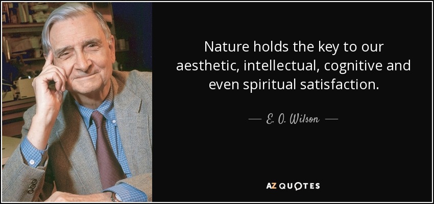 Nature holds the key to our aesthetic, intellectual, cognitive and even spiritual satisfaction. - E. O. Wilson