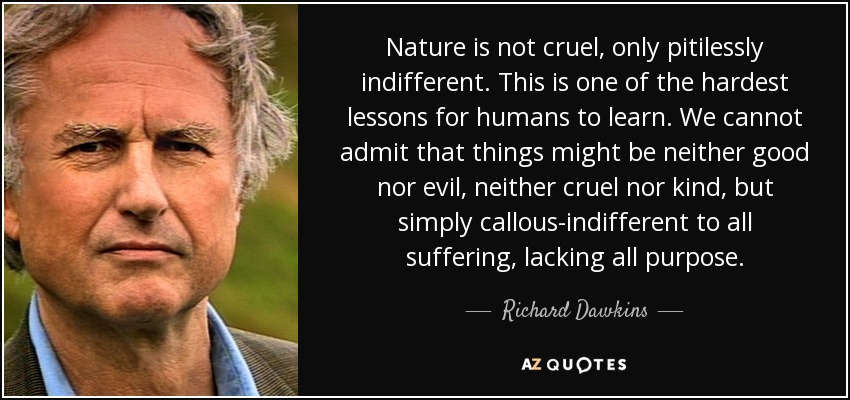 Nature is not cruel, only pitilessly indifferent. This is one of the hardest lessons for humans to learn. We cannot admit that things might be neither good nor evil, neither cruel nor kind, but simply callous-indifferent to all suffering, lacking all purpose. - Richard Dawkins