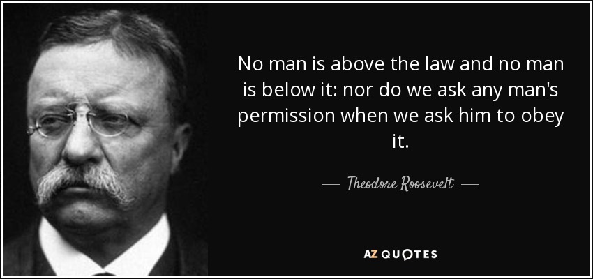 Nadie está por encima de la ley ni nadie está por debajo de ella: ni pedimos permiso a nadie cuando le pedimos que la obedezca. - Theodore Roosevelt