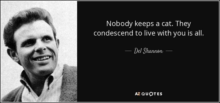 Nobody keeps a cat. They condescend to live with you is all. - Del Shannon