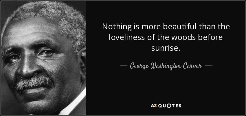 Nothing is more beautiful than the loveliness of the woods before sunrise. - George Washington Carver