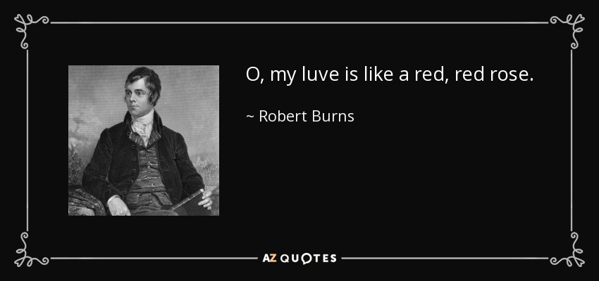 O, my luve is like a red, red rose. - Robert Burns