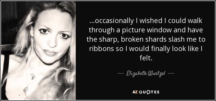 ...occasionally I wished I could walk through a picture window and have the sharp, broken shards slash me to ribbons so I would finally look like I felt. - Elizabeth Wurtzel