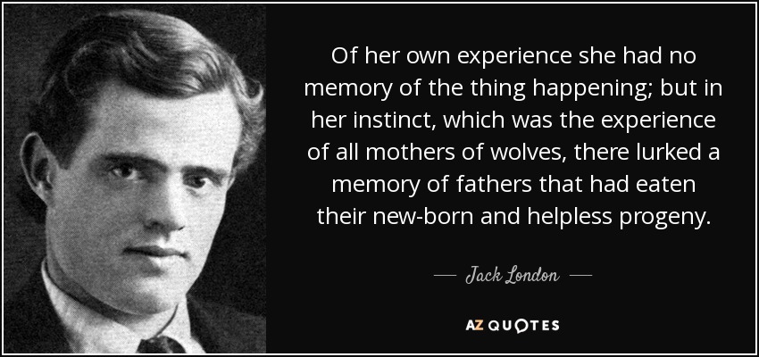 Of her own experience she had no memory of the thing happening; but in her instinct, which was the experience of all mothers of wolves, there lurked a memory of fathers that had eaten their new-born and helpless progeny. - Jack London