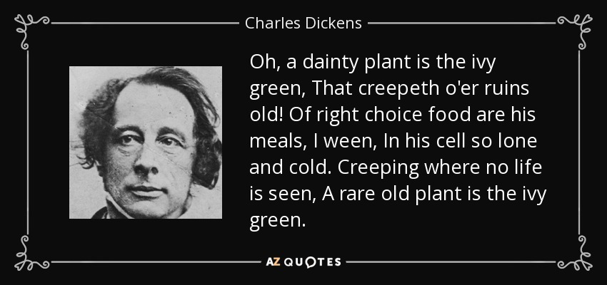 ¡Oh, una planta delicada es la hiedra verde, que se arrastra sobre ruinas viejas! Creo que su comida es de buena calidad, en su celda tan solitaria y fría. Arrastrándose donde no se ve vida, Una rara y vieja planta es la hiedra verde. - Charles Dickens