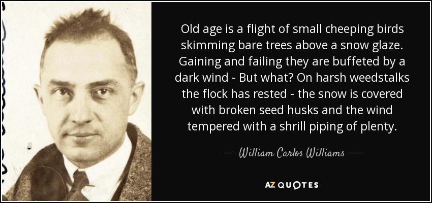 Old age is a flight of small cheeping birds skimming bare trees above a snow glaze. Gaining and failing they are buffeted by a dark wind - But what? On harsh weedstalks the flock has rested - the snow is covered with broken seed husks and the wind tempered with a shrill piping of plenty. - William Carlos Williams