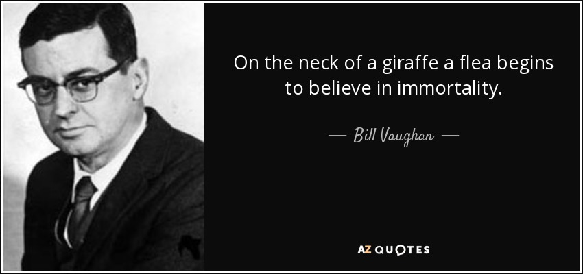 On the neck of a giraffe a flea begins to believe in immortality. - Bill Vaughan