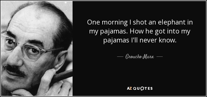 Una mañana disparé a un elefante en pijama. Nunca sabré cómo se metió en mi pijama. - Groucho Marx