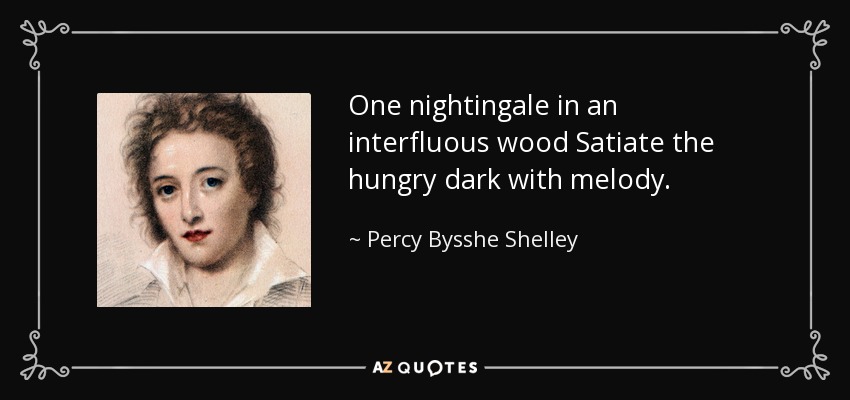 Un ruiseñor en un bosque interfluo Sacia con melodía la oscuridad hambrienta. - Percy Bysshe Shelley