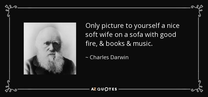 Only picture to yourself a nice soft wife on a sofa with good fire, & books & music. - Charles Darwin