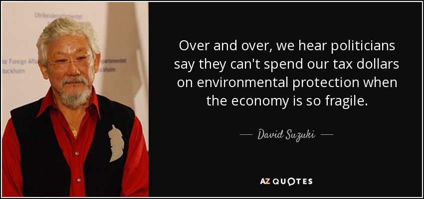 Over and over, we hear politicians say they can't spend our tax dollars on environmental protection when the economy is so fragile. - David Suzuki