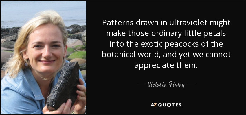 Patterns drawn in ultraviolet might make those ordinary little petals into the exotic peacocks of the botanical world, and yet we cannot appreciate them. - Victoria Finlay