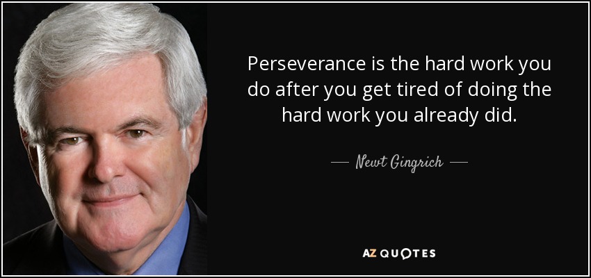 La perseverancia es el trabajo duro que haces después de cansarte de hacer el trabajo duro que ya hiciste. - Newt Gingrich