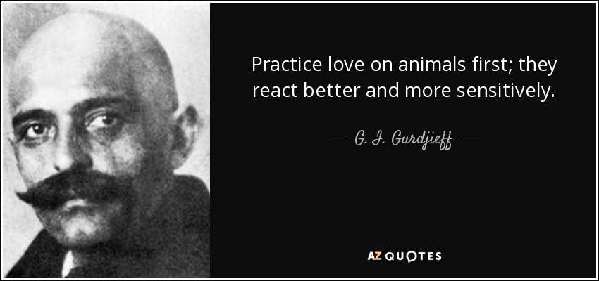 Practice love on animals first; they react better and more sensitively. - G. I. Gurdjieff