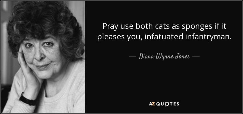 Pray use both cats as sponges if it pleases you, infatuated infantryman. - Diana Wynne Jones