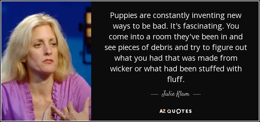 Puppies are constantly inventing new ways to be bad. It's fascinating. You come into a room they've been in and see pieces of debris and try to figure out what you had that was made from wicker or what had been stuffed with fluff. - Julie Klam