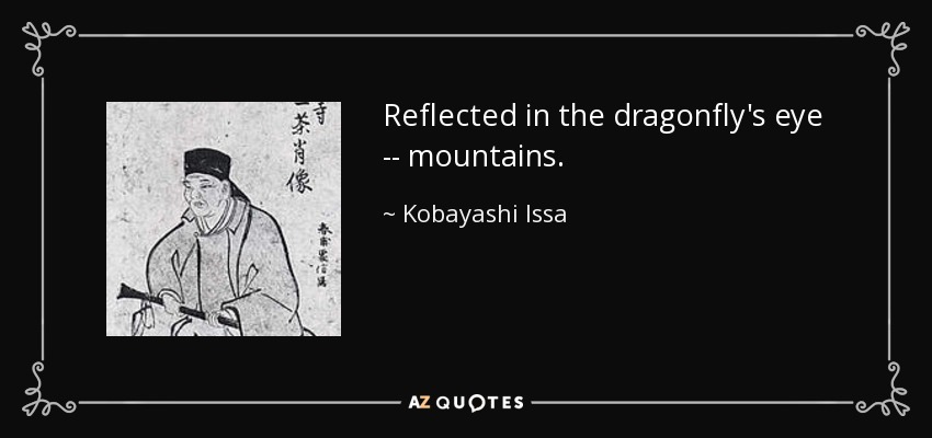 Reflected in the dragonfly's eye -- mountains. - Kobayashi Issa