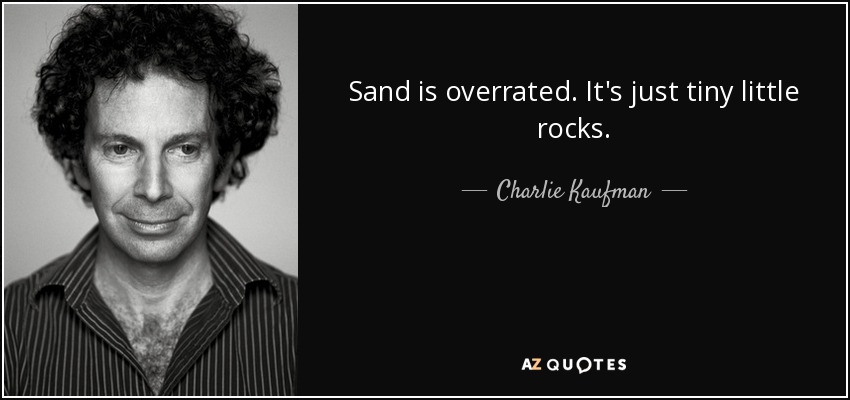 Sand is overrated. It's just tiny little rocks. - Charlie Kaufman