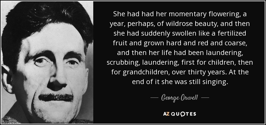 She had had her momentary flowering, a year, perhaps, of wildrose beauty, and then she had suddenly swollen like a fertilized fruit and grown hard and red and coarse, and then her life had been laundering, scrubbing, laundering, first for children, then for grandchildren, over thirty years. At the end of it she was still singing. - George Orwell