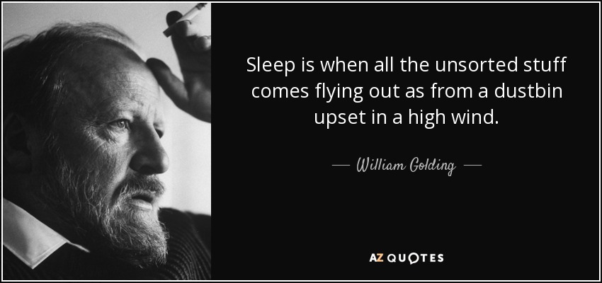 Sleep is when all the unsorted stuff comes flying out as from a dustbin upset in a high wind. - William Golding