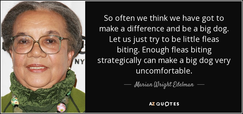 So often we think we have got to make a difference and be a big dog. Let us just try to be little fleas biting. Enough fleas biting strategically can make a big dog very uncomfortable. - Marian Wright Edelman