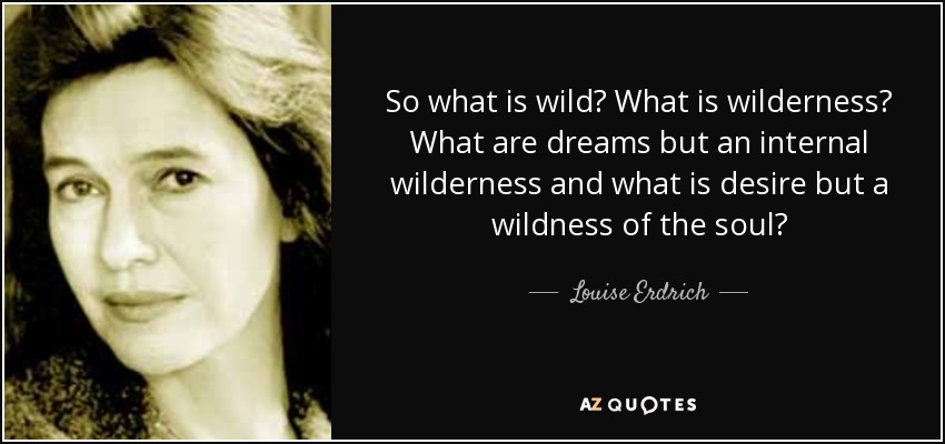 So what is wild? What is wilderness? What are dreams but an internal wilderness and what is desire but a wildness of the soul? - Louise Erdrich