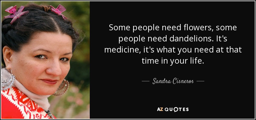 Some people need flowers, some people need dandelions. It's medicine, it's what you need at that time in your life. - Sandra Cisneros