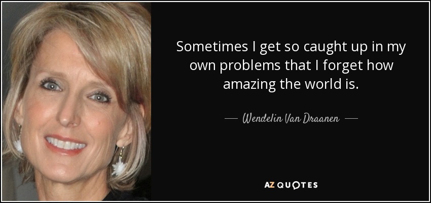 Sometimes I get so caught up in my own problems that I forget how amazing the world is. - Wendelin Van Draanen