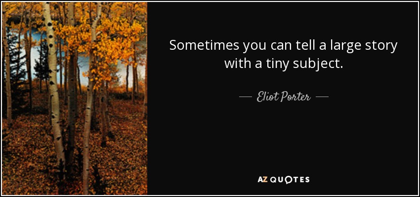 Sometimes you can tell a large story with a tiny subject. - Eliot Porter